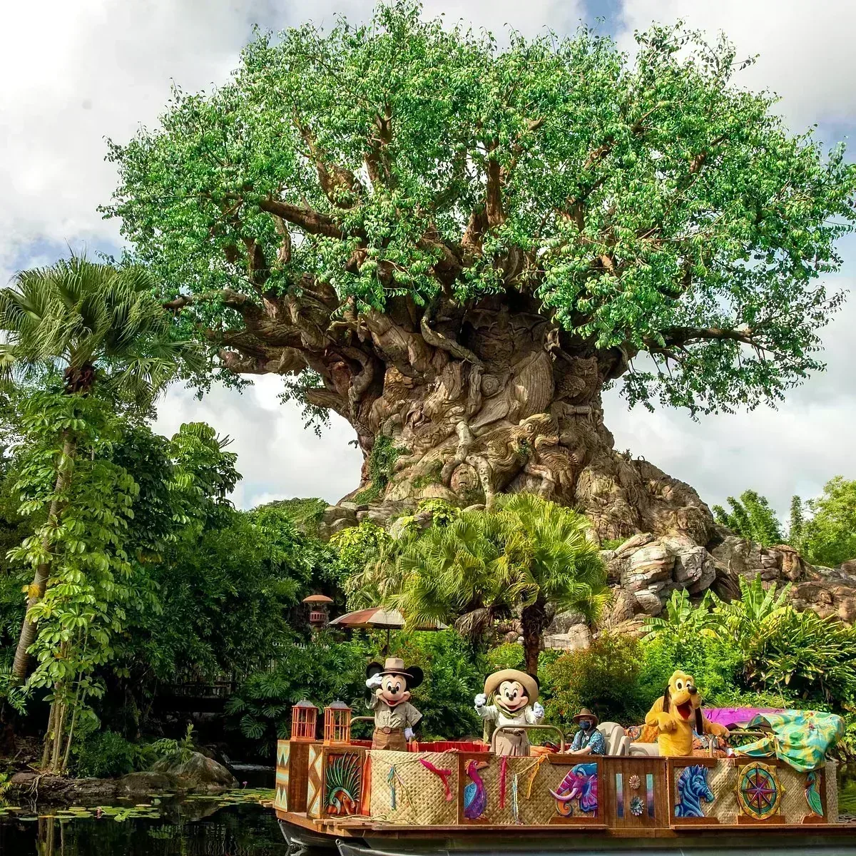 Animal Kingdom foto 1