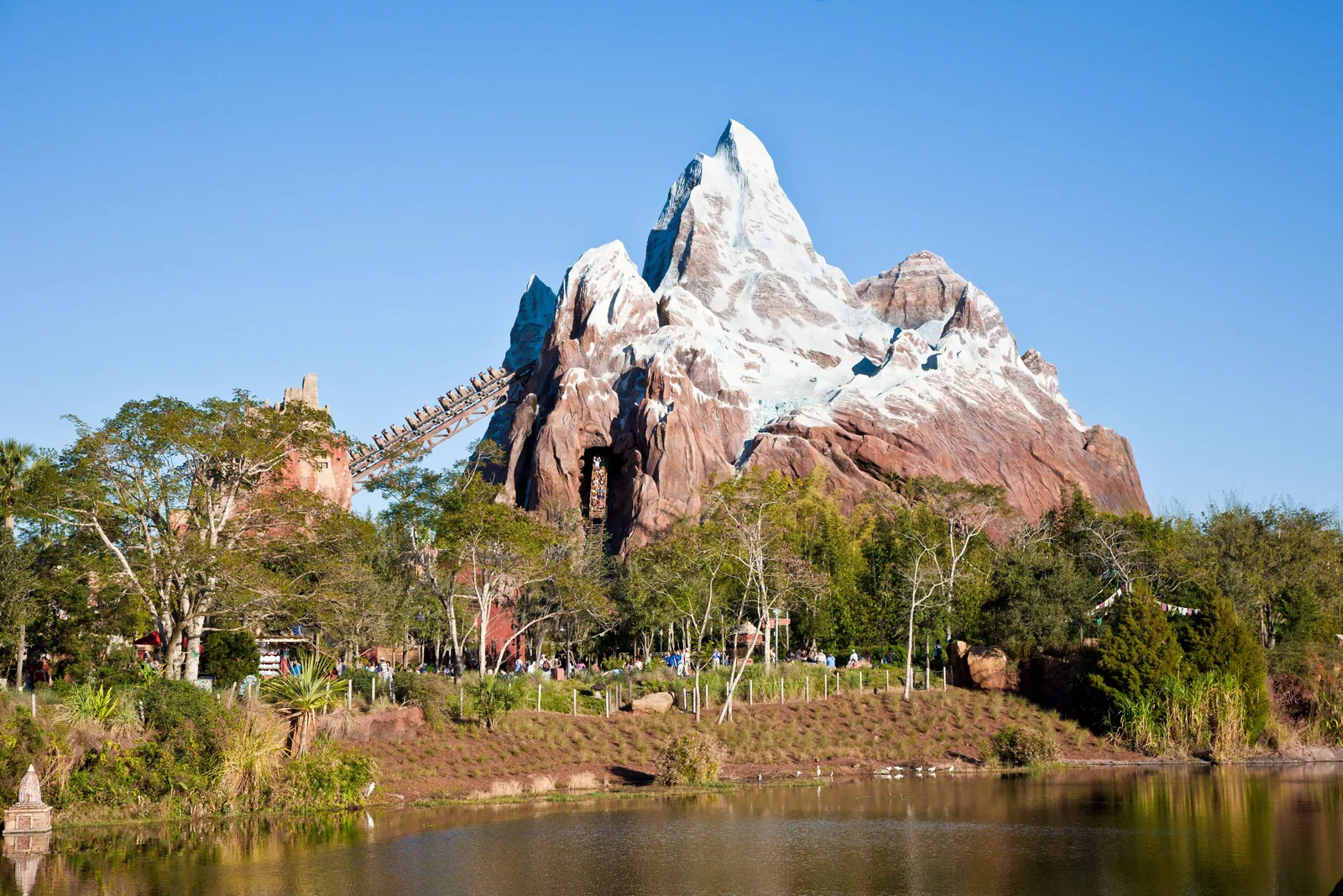 Animal Kingdom foto 2