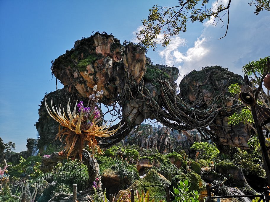 Animal Kingdom foto 5
