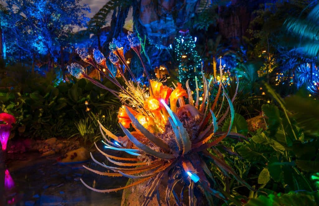 Animal Kingdom foto 6